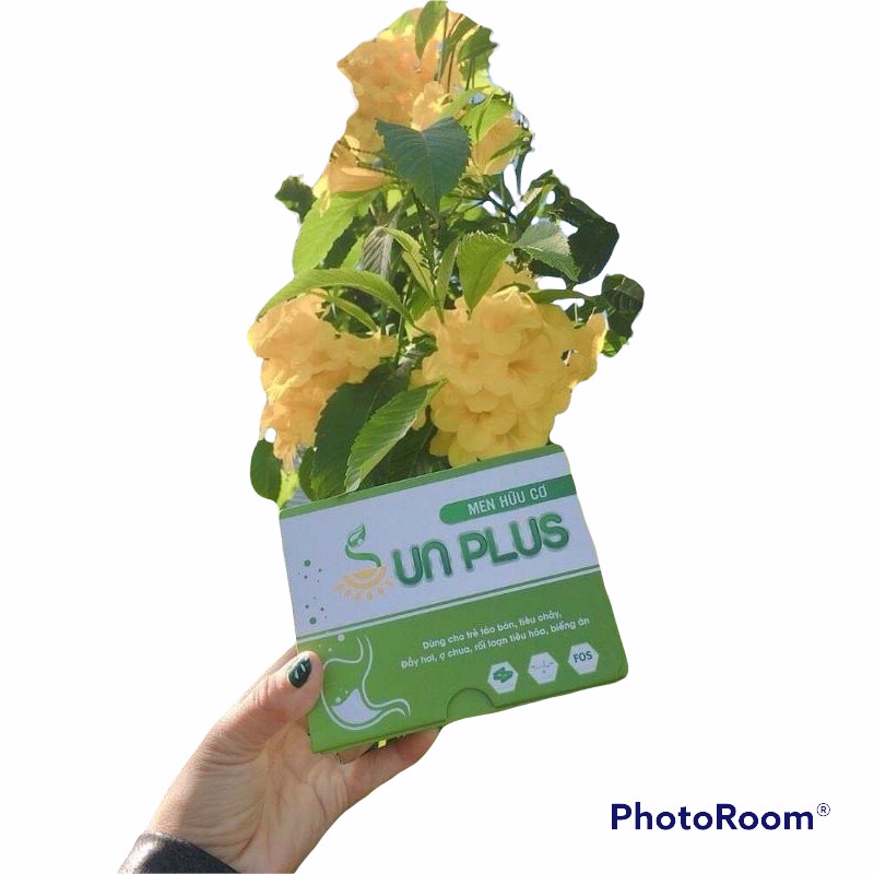 Men hữu cơ sunplus chính hãng 1 hộp