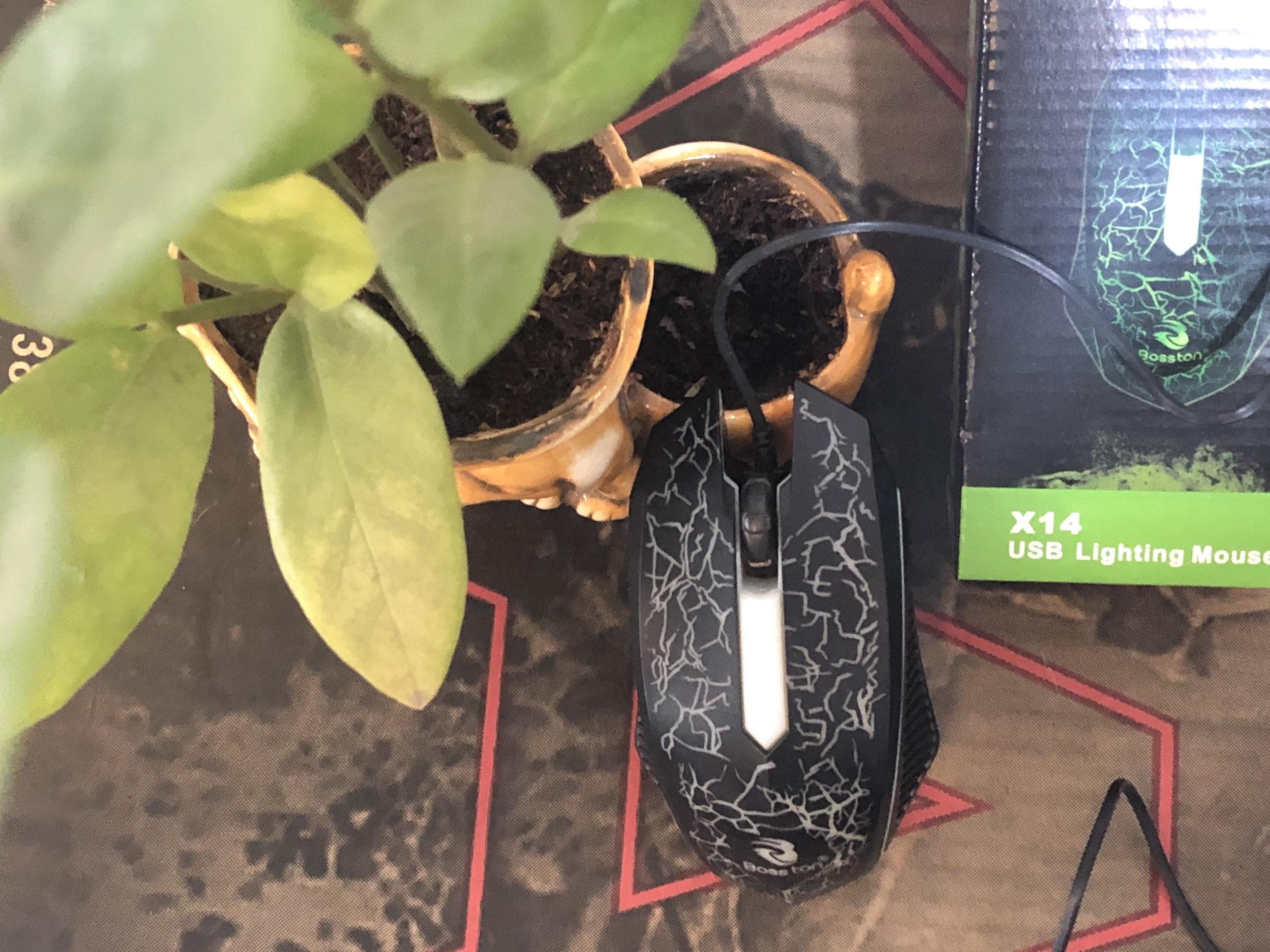 Chuột bosston x14 tự đổi màu led