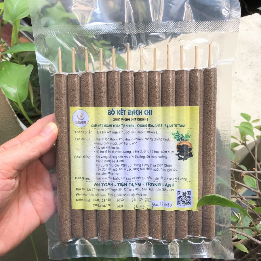 Bồ kết Bách Chi - xông phòng