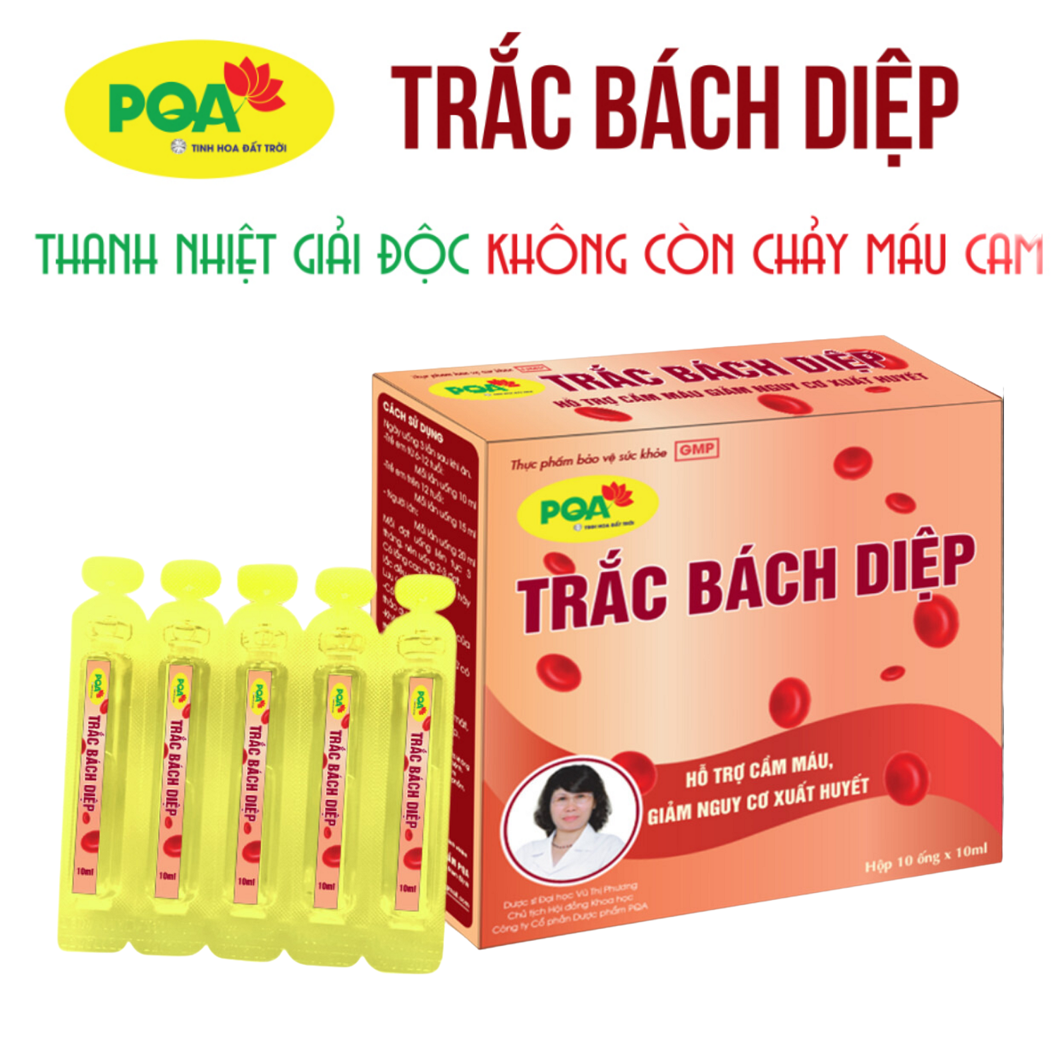PQA Trắc bách diệp hộp 10 ống dùng cho người bị chảy máu cam, người hay mắc các chứng xuất huyết