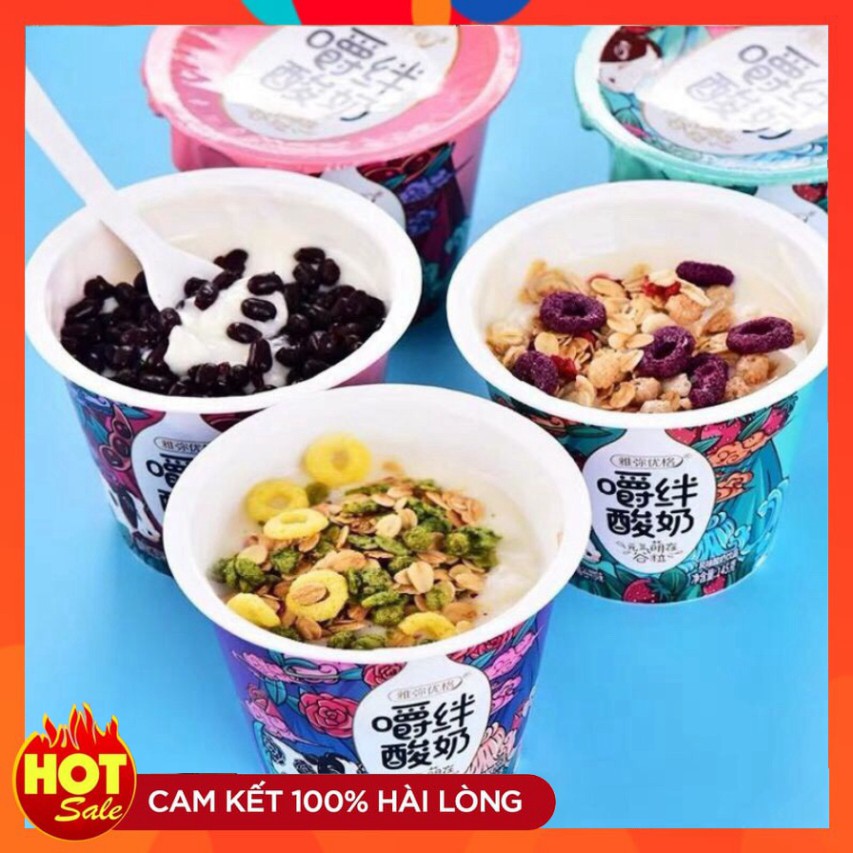 Hộp sữa chua mix ngũ cốc yến mạch trái cây sấy khô