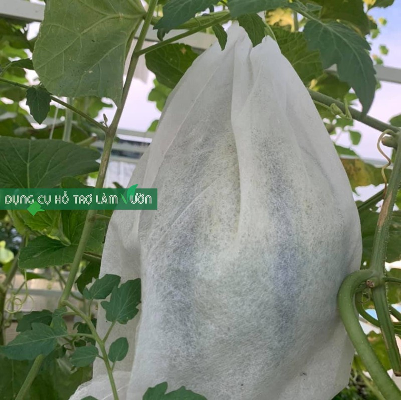 10 Túi bọc trái cây chuyên dùng bọc trái cây hạn chế sâu rầy tấn công khi còn trên cây chất liệu vải không dệt tái sử dụng được nhiều lần