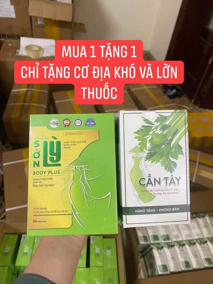 Giảm cân Sơn Lỳ Body Plus Tiến Hạnh - Hỗ trợ giảm cân
