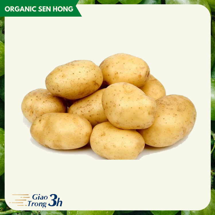 Khoai tây vàng Sen Hồng (1kg)