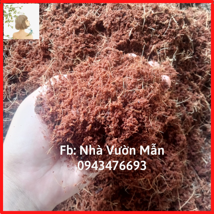 1kg mụn xơ dừa trồng cây - trồng rau - cây cảnh