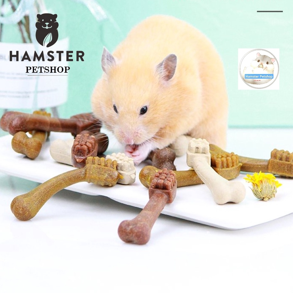 Bàn chải Mài răng Jonsanty, mài răng Hamster