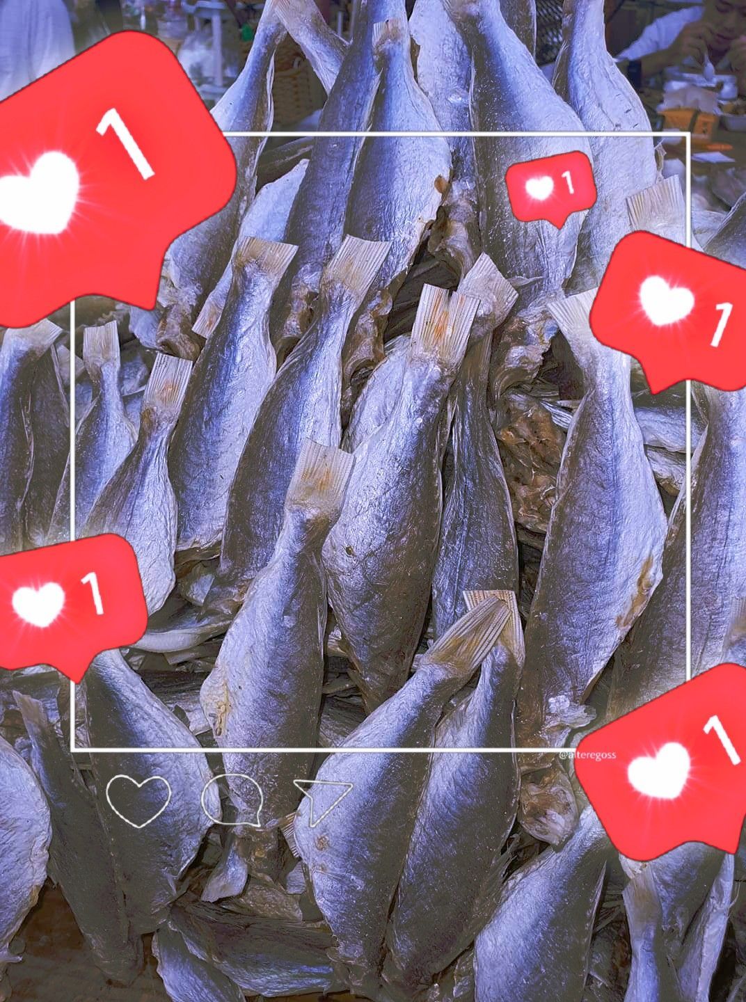 Khô cá đổng - 500gr - ngonlạc