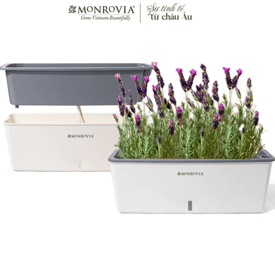 Chậu trồng cây tự tưới hình chữ nhật MONROVIA, trồng rau, treo ban công, chất liệu cao cấp theo tiêu chuẩn châu Âu