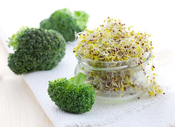 Hạt giống rau mầm bông cải xanh 20g-50g dễ trồng nhanh thu hoạch tốt cho  sức khỏe giá rẻ | Lazada Việt Nam