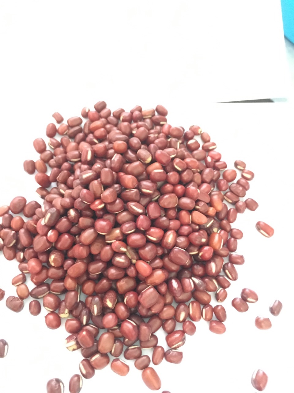 1kg hạt đậu đỏ hạt nhỏ