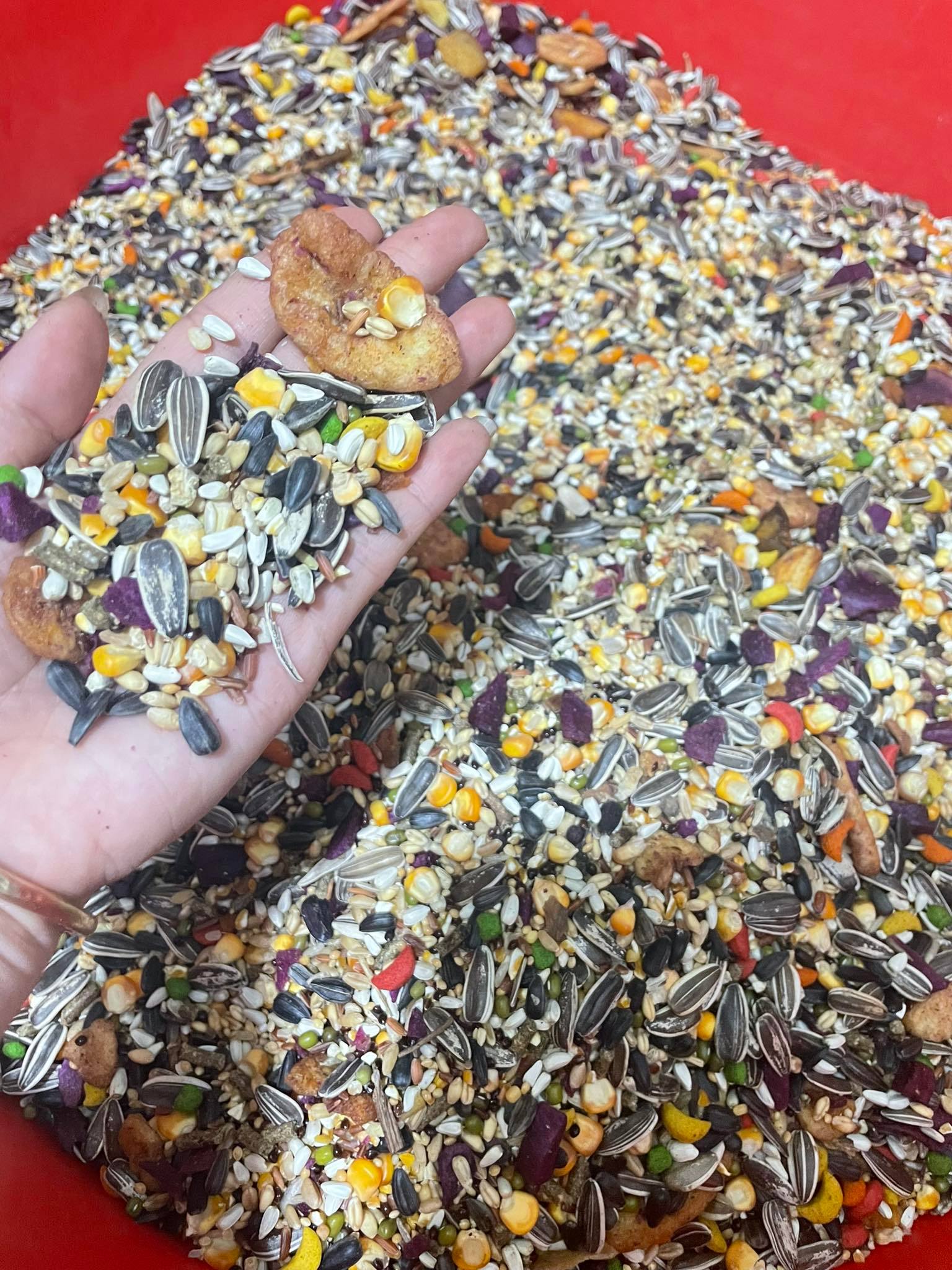 Thức ăn ngũ cốc hamster túi 1ký siêu tiết kiệm hương vị thơm ngon hấp dẫn giàu chất dinh dưỡng