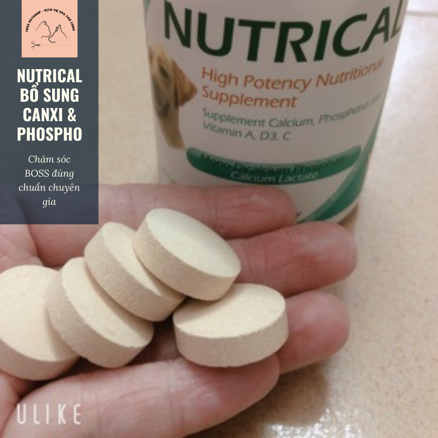 Viên nutrical - bổ sung canxi & phospho cho chó mèo