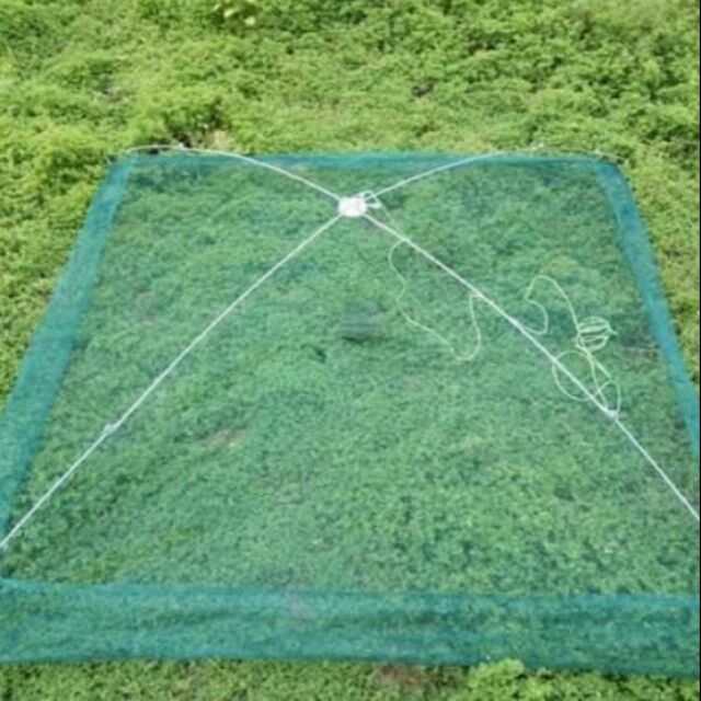 Vó bắt tôm, cá, tép