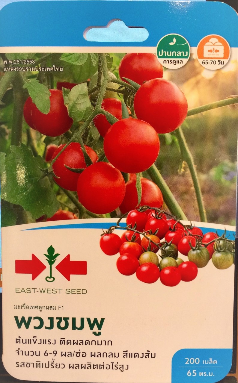 [HCM]Gói 200 Hạt Giống Cà Chuổi Ngọc F1  East-West Seed .