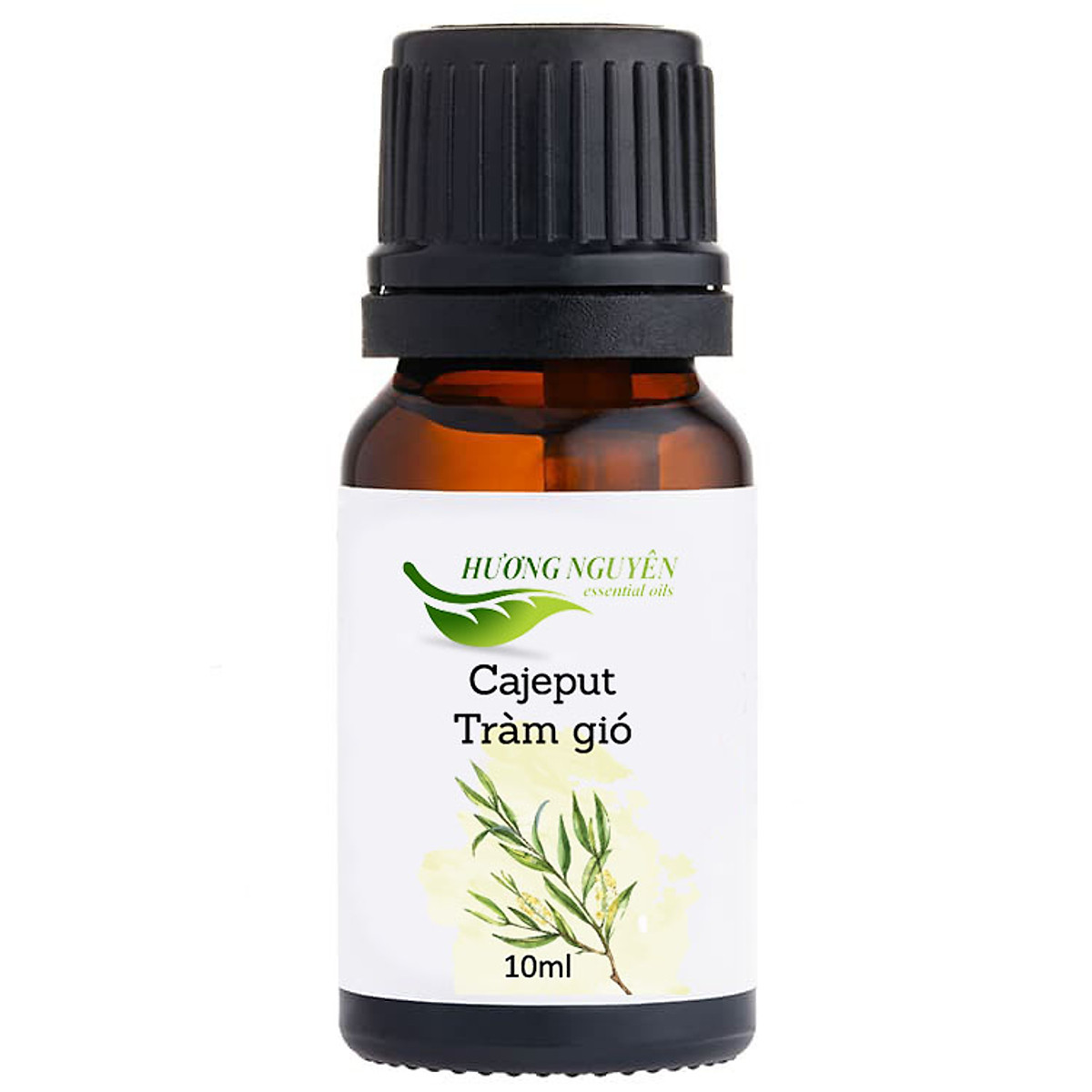 Tinh dầu tràm gió hương nguyên | cajeput essential oil