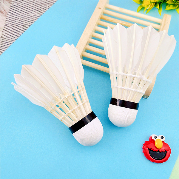 Set 6 - 12 trái cầu lông , 6 trái vũ cầu lông vịt giá rẻ , combo 6 trái cầu lông đánh cầu lông , 6 trái vũ cầu đánh trái cầu lông - Phát Huy Hoàng