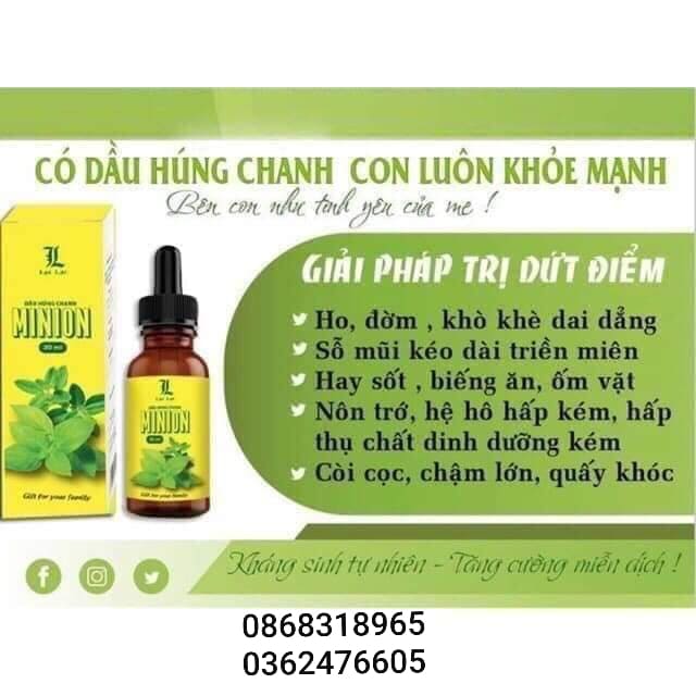 Dầu húng chanh minion (kháng sinh tự nhiên)