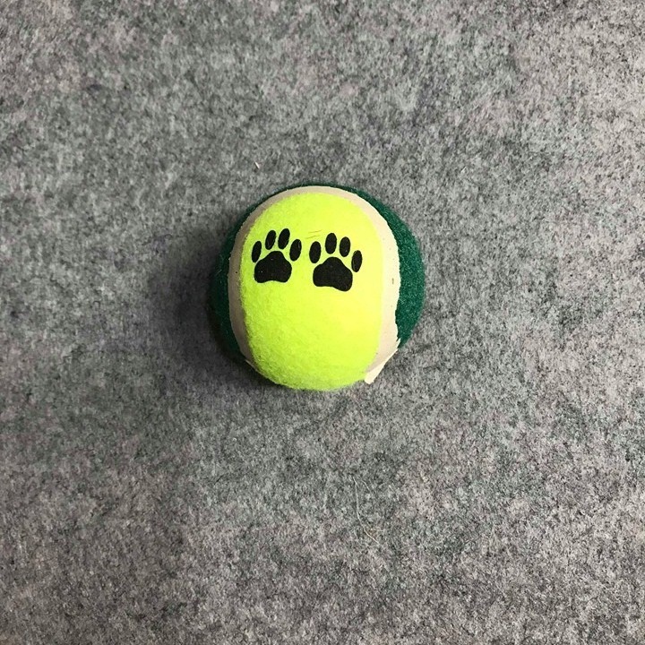 Đồ chơi cho chó - bóng tenis