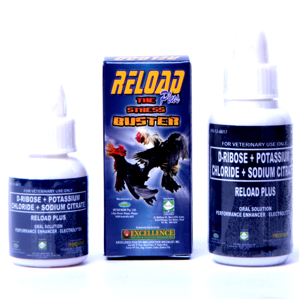 Reload Plus điện giải, dành cho gà đá.