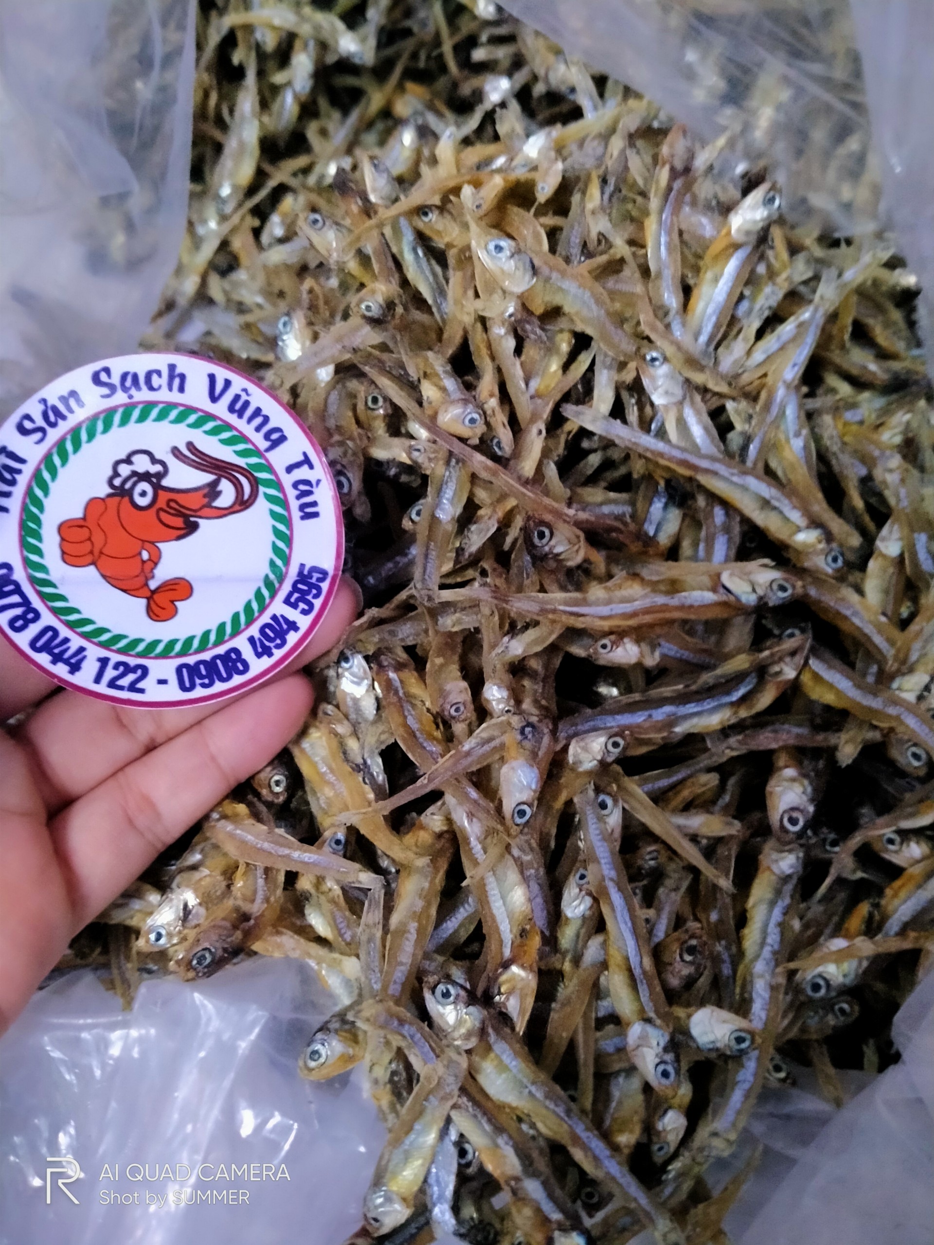 1KG Khô Cá Cơm Sạch Cát Tươi ngon từ biển vũng tàu