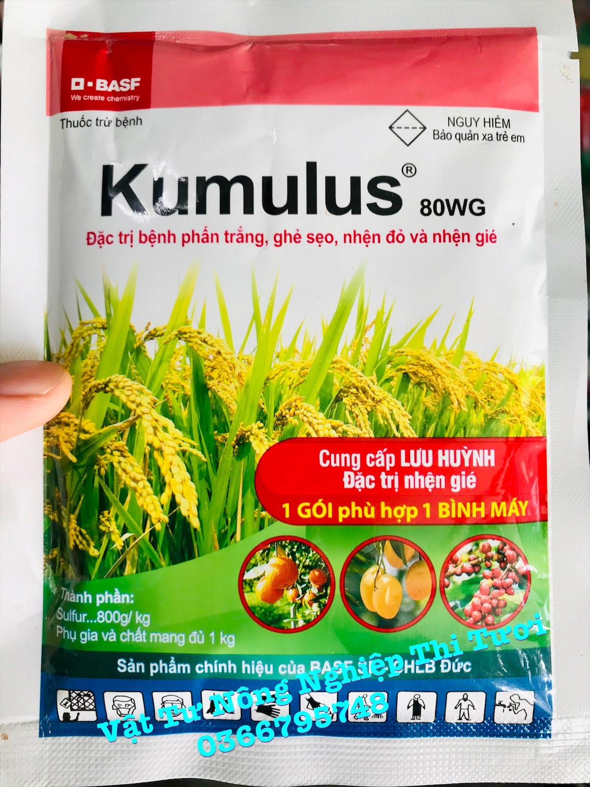 Thuốc trừ bệnh Kumulus 80 wg - chính hãng BASF Đức