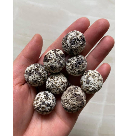 [Hoàn Tiền 10%] Sứ Bi Muối Tiêu