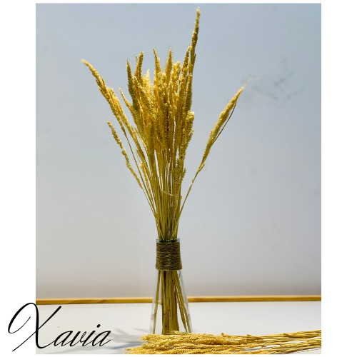 Cỏ khô decor nhà, trang trí phòng