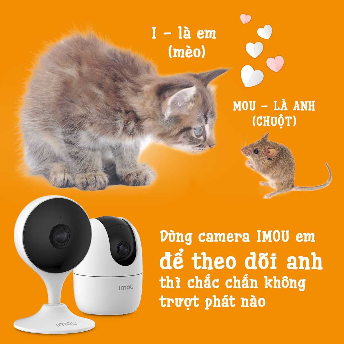 camera wifi  imou A22 XOAY + C22 cố đinh + 2 thẻ nhớ  TẶNG CHÂN ĐẾ ỐP TRẦN CHO CAMERA XOAY