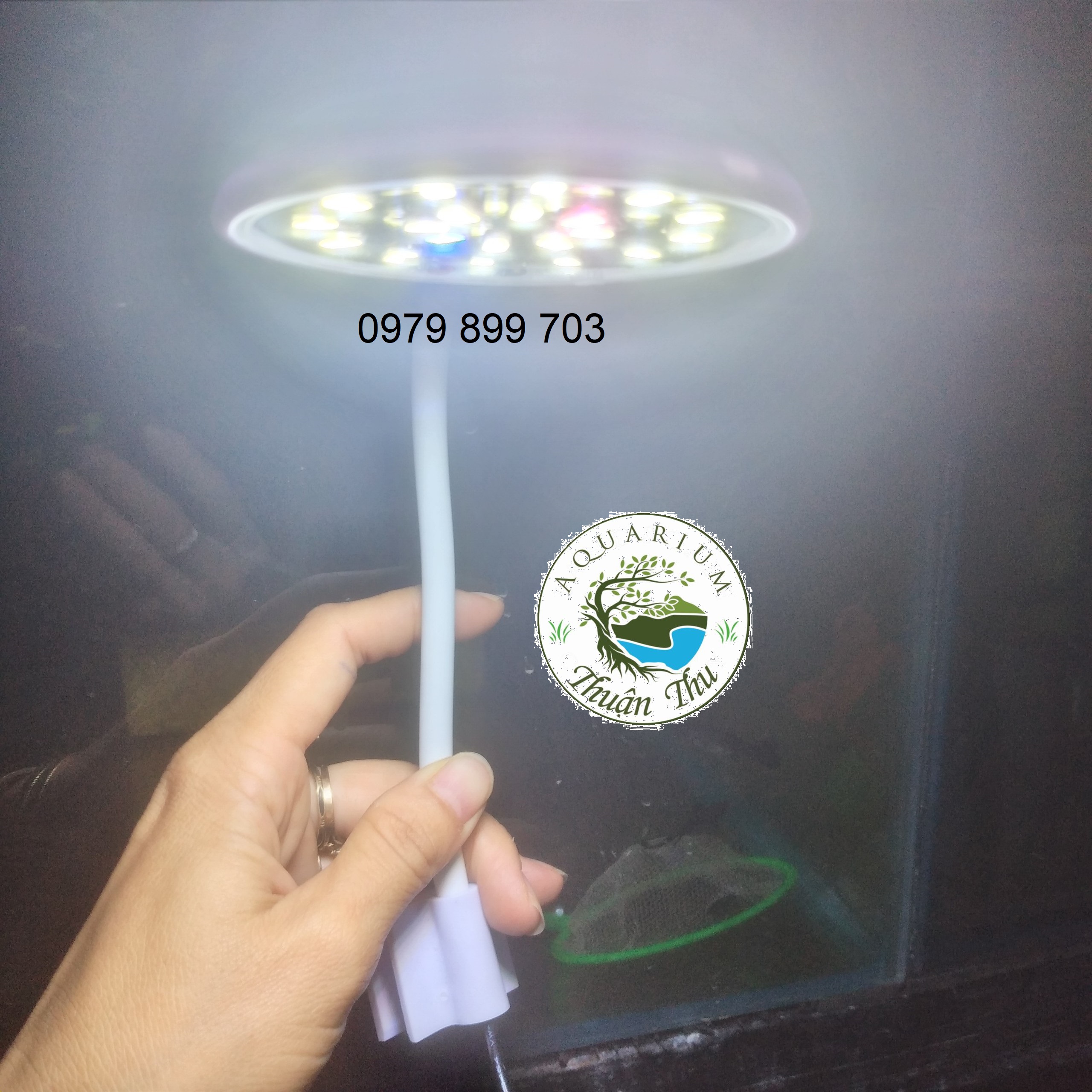 Đèn led kẹp hồ cá cảnh mini kaokui kk jy 25