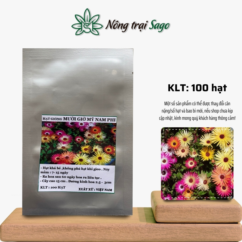 Hạt giống Hoa Mười Giờ Nam Phi (100 hạt) hoa đẹp, trồng quanh năm, nở liên tục hàng ngày - Nông Trại Sago