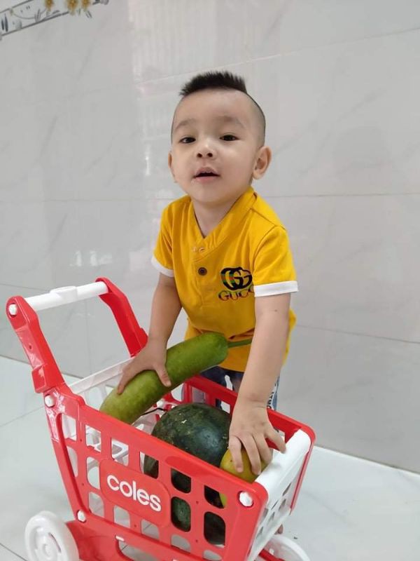 Xe đẩy siêu thị coles
