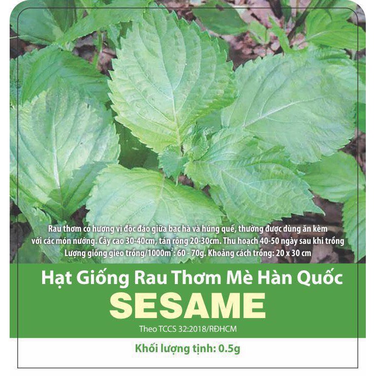Hạt giống rau thơm mè hàn quốc - sesame - tía tô hàn quốc