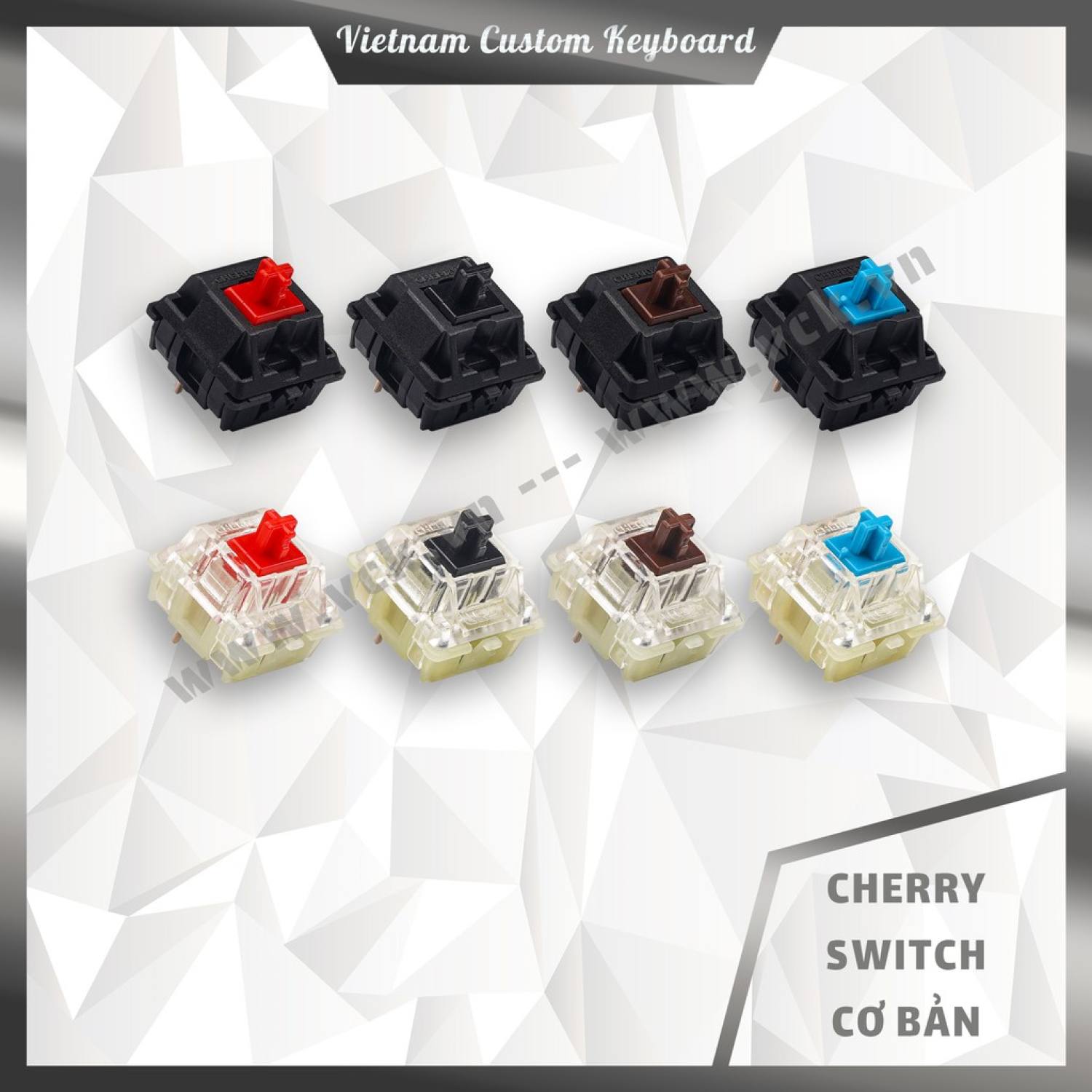 8 loại cherry switch cơ bản | cherry rgb | cherry black retooled | vck