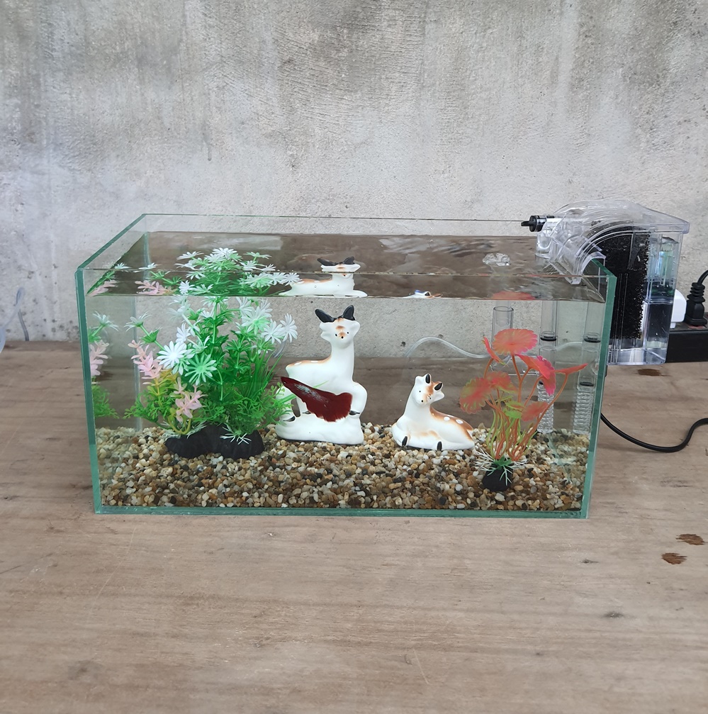 Bể cá 33 cm với 6 món (bể 33cm, sỏi nền, máy lọc, cây nhựa vừa, cây nhựa mini, pk sứ vừa)