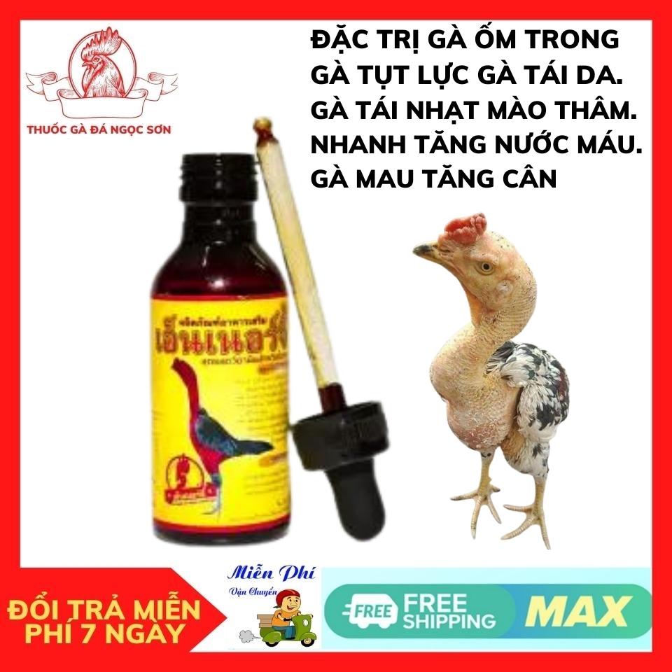VITAMIN ỐM TRONG THÁI LAN 1 Hũ 60ml Gà Nhợt Nhạt ,Phục Hồi Sau Đá,Gà ốm Da Tái Trắng,giúp gà tăng nước máu.nuôi mau tới đá cho gà đá, gà chọi, gà tre.