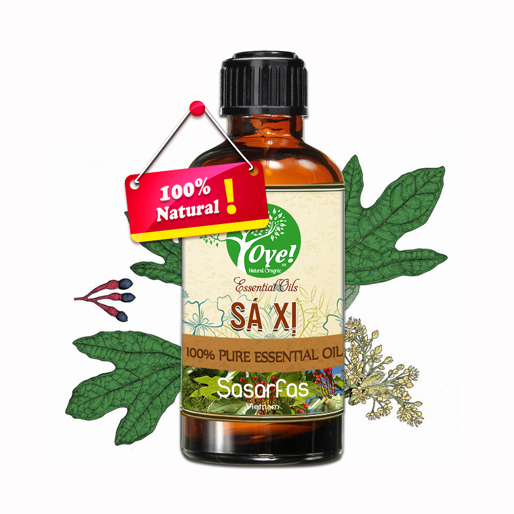 Tinh Dầu Sá Xị OYE 100ml Nguyên Chất Khử mùi, lọc không khí, tăng cường sức đề kháng cho sức khỏe