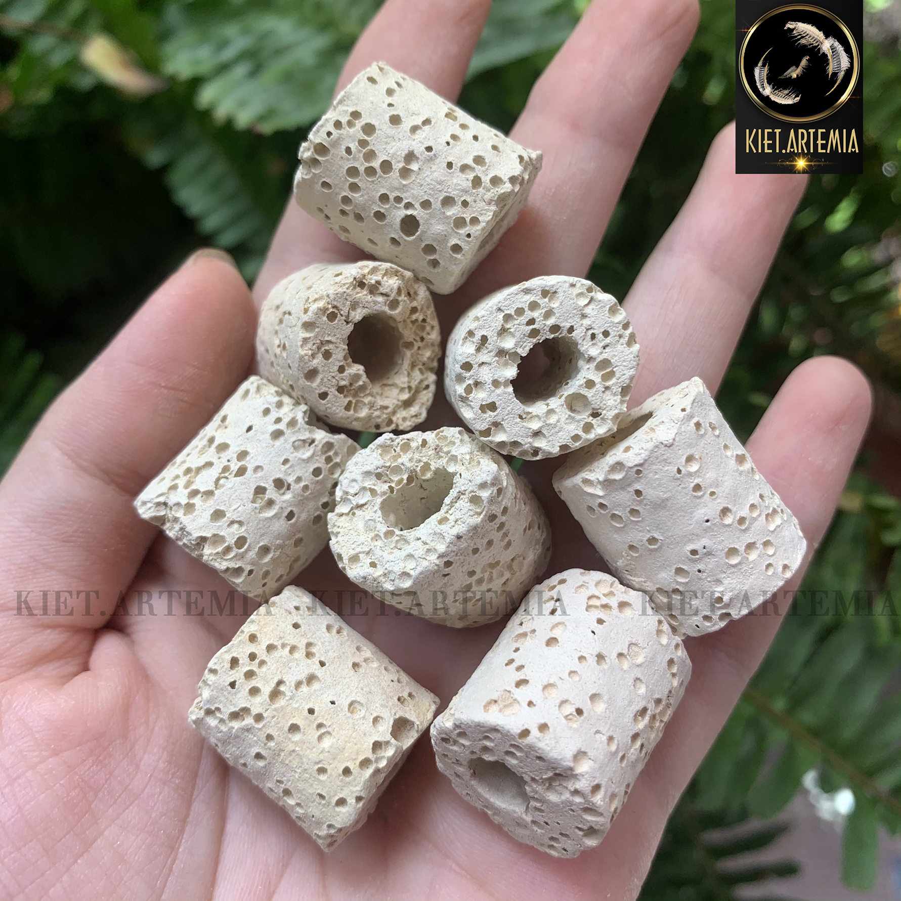 Sứ lọc nước bể cá, vật liệu lọc xử lý nước