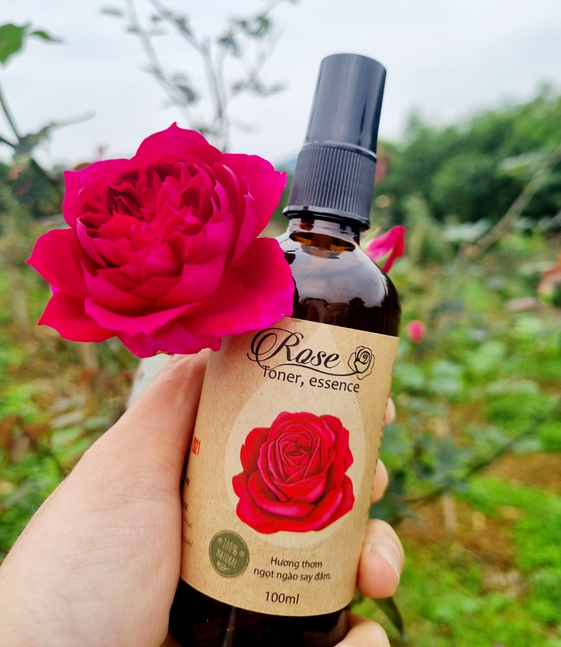 Tinh chất hoa hồng dưỡng da thiên nhiên handmade Phúc An House,100ml,Amita Nature House