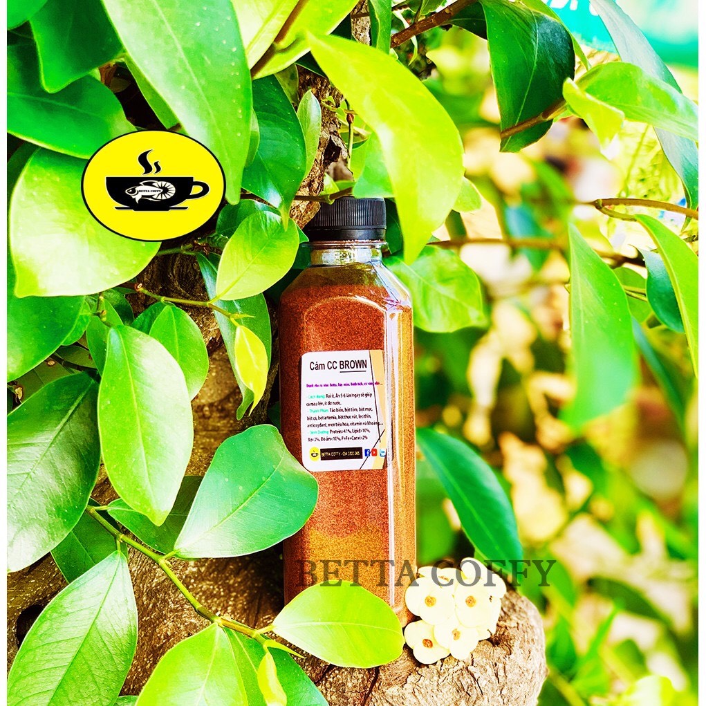 Cám cc brown dạng chai 200g - thức ăn cá con