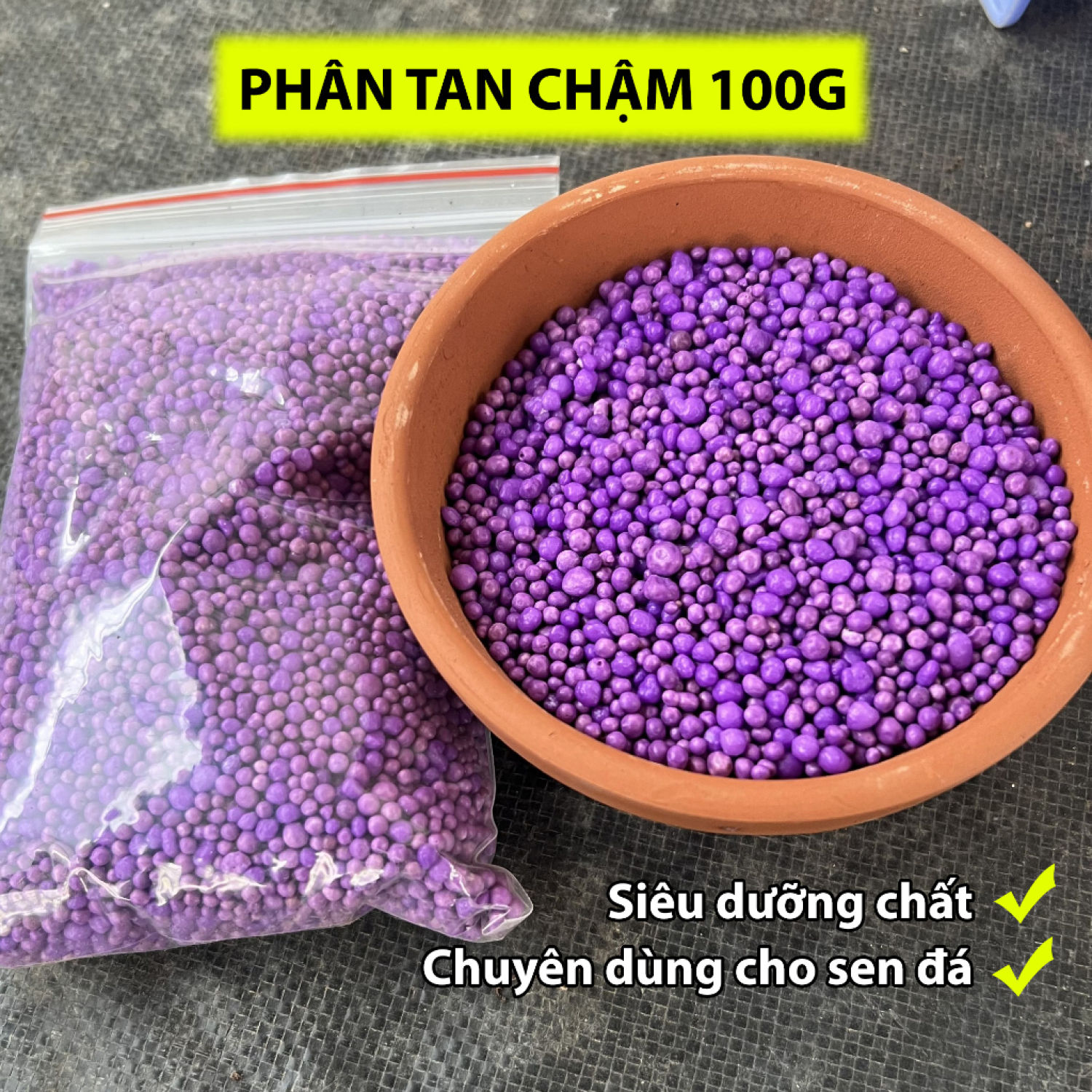 Phân tan chậm siêu dưỡng chất chuyên dùng cho sen đá 100g loại cao cấp, phân trồng sen đá xương rồng pandaa garden