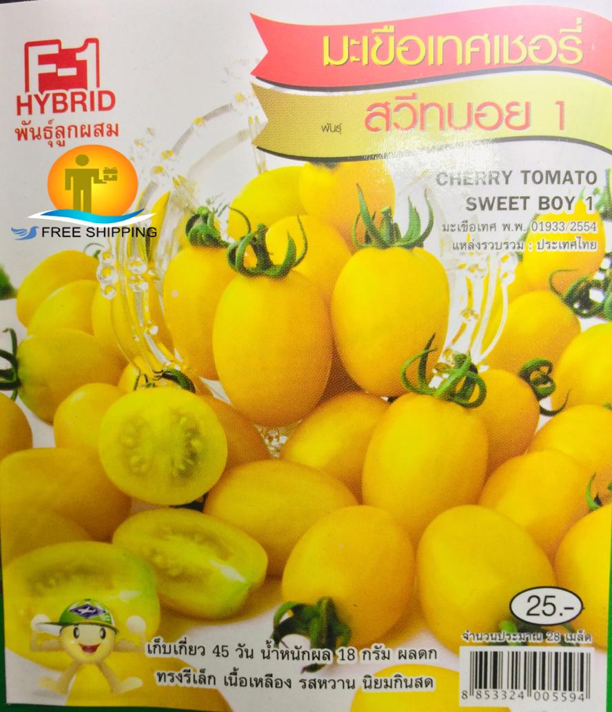 [HCM]GÓI 28 HẠT-CÀ CHUA F1 BI CHERRY VÀNG THÁI LAN -TẶNG KÈM GÓI PHÂN TĂNG TRƯỞNG 10G.