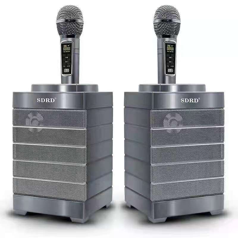 Loa Bluetooth Karaoke Điện Máy Xanh, Loa Karaoke Bluetooth SDRD SD-128 | kèm 2 micro không dây chống rè, chống hú | Âm thanh vòm 3D cực hay