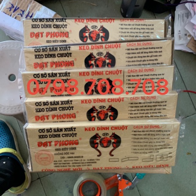 Keo dán chuột đạt phong 5 miếng