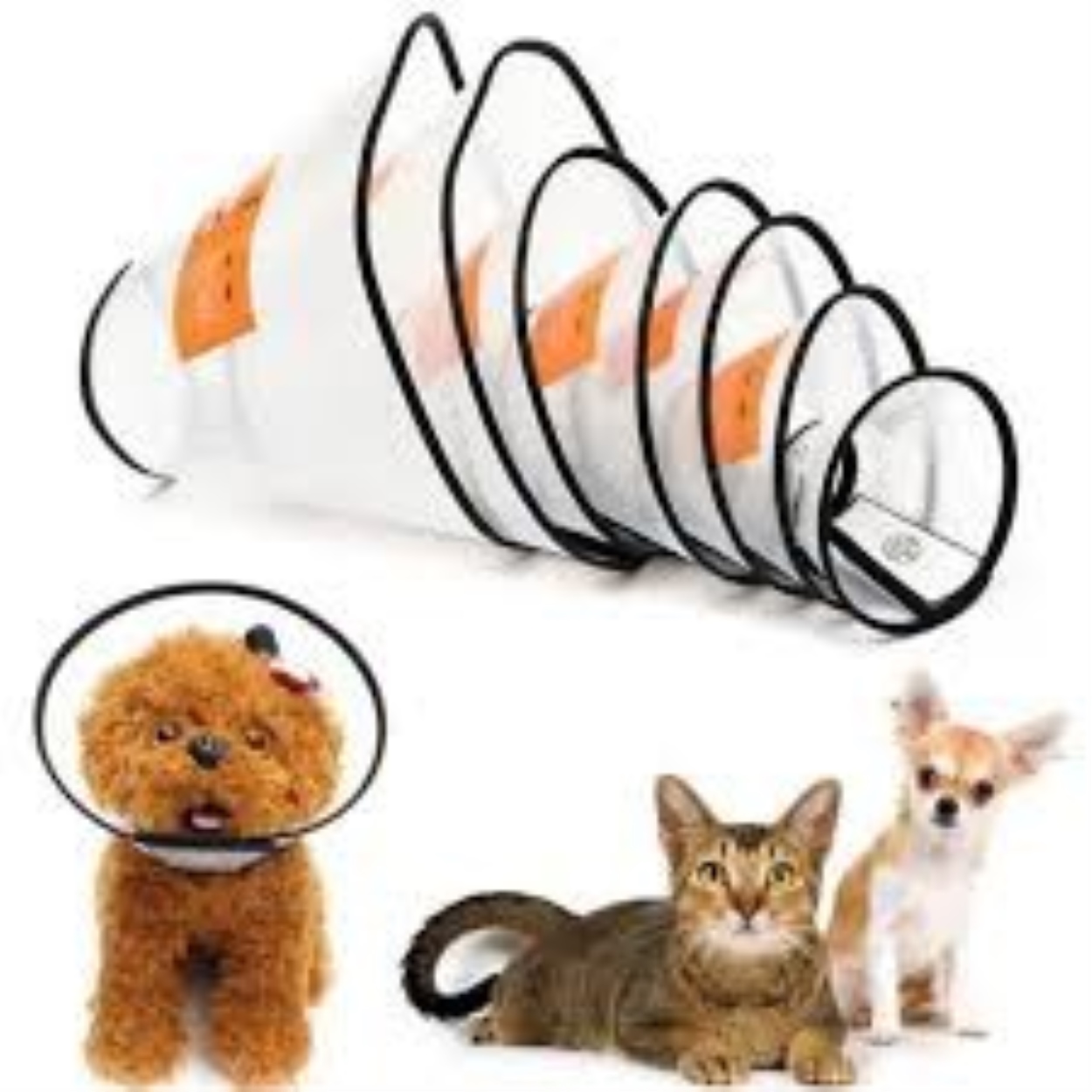 {HOT} Vòng loa đeo cổ chống cắn dành cho thú cưng tiện lợi