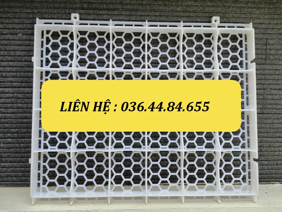 Sàn nhựa nuôi Ngan - Gà - Vịt hiệu quả kinh tế cao