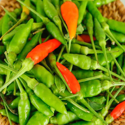 Hạt Giống Ớt Xiêm Rừng