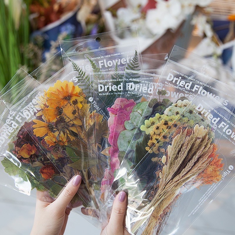 Set sticker hoa lá khô - dried flowers sticker ép nhựa pvc - hình dán hoa trang trí sổ bullet journal