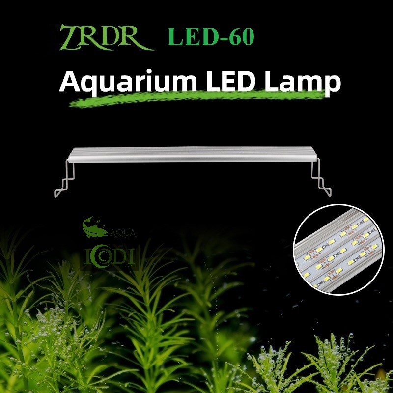 Đèn bể cá wyin zrdr led-60