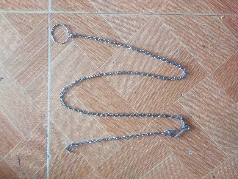 Xích Mèo,sóc,chó nhỏ + Vòng Cổ INOX  không gỉ Chống xoắn ( xích mèo) 1.3m  phi 1.5mm nặng 0.1kg