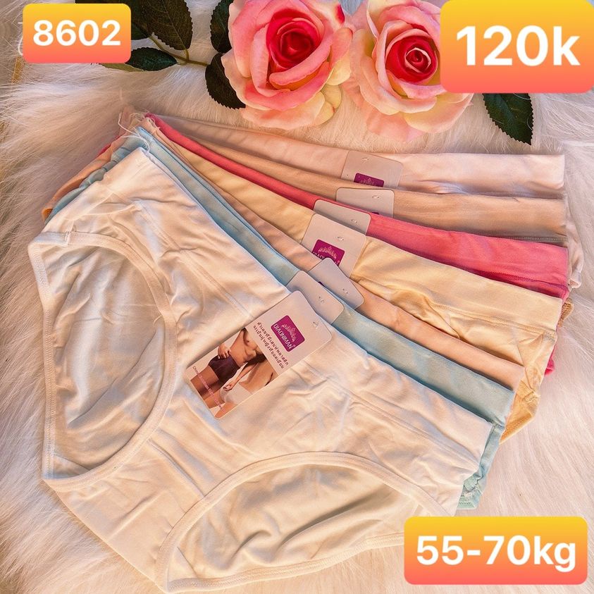 Combo 10 quần lót cotton thái lan mịn 8602 5070 kg